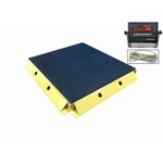 Selleton Ntep Floor Scale With 2 Protection Bumper Guards. Fixed Price $5256.60.